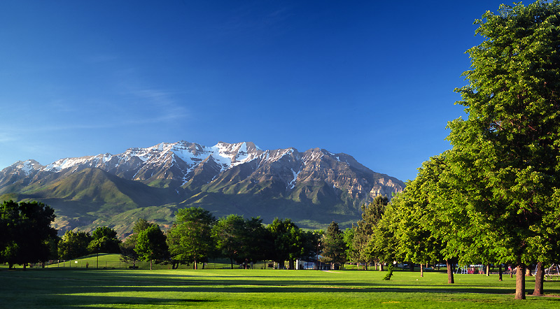 Orem window installation